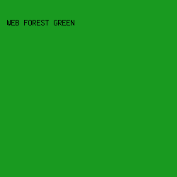 199A20 - Web Forest Green color image preview