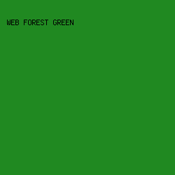 208921 - Web Forest Green color image preview