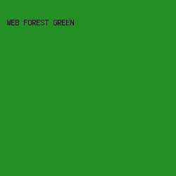 229022 - Web Forest Green color image preview
