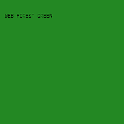 238823 - Web Forest Green color image preview