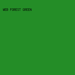 248D27 - Web Forest Green color image preview