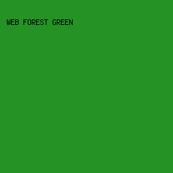 249225 - Web Forest Green color image preview