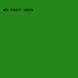 25871A - Web Forest Green color image preview