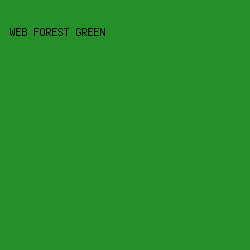 258F28 - Web Forest Green color image preview