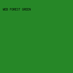 268727 - Web Forest Green color image preview