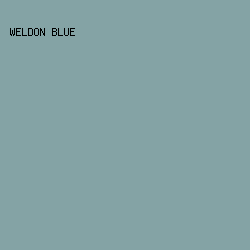 84A3A5 - Weldon Blue color image preview