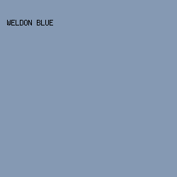 8599B3 - Weldon Blue color image preview