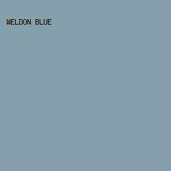 869FAC - Weldon Blue color image preview