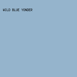 95b4cc - Wild Blue Yonder color image preview