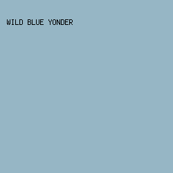 96b6c5 - Wild Blue Yonder color image preview