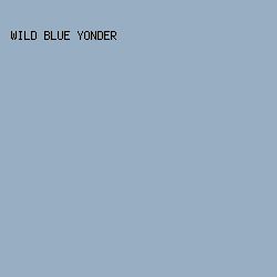98aec2 - Wild Blue Yonder color image preview