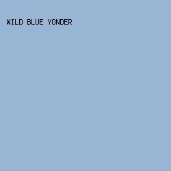 98b6d4 - Wild Blue Yonder color image preview
