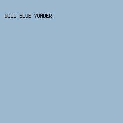 9BB8D1 - Wild Blue Yonder color image preview