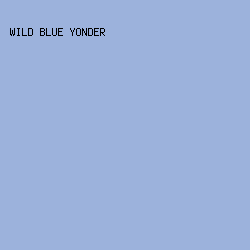 9CB2DC - Wild Blue Yonder color image preview
