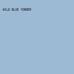 9DBAD5 - Wild Blue Yonder color image preview