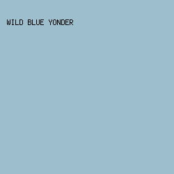 9DBECC - Wild Blue Yonder color image preview
