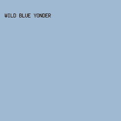 9EB9D1 - Wild Blue Yonder color image preview