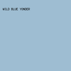 9ebdd2 - Wild Blue Yonder color image preview