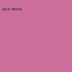 CC6E9B - Wild Orchid color image preview