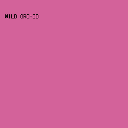 D3629A - Wild Orchid color image preview