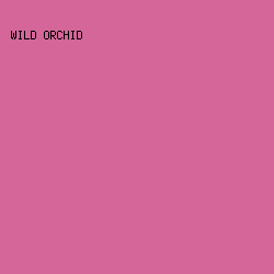 D46699 - Wild Orchid color image preview