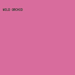 D86C9D - Wild Orchid color image preview