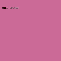cc6a97 - Wild Orchid color image preview