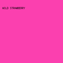 FB40AF - Wild Strawberry color image preview