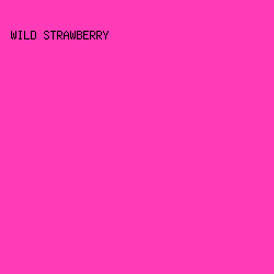 ff3cb8 - Wild Strawberry color image preview