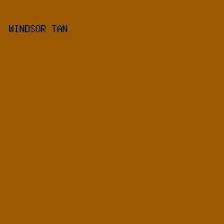 9C5900 - Windsor Tan color image preview