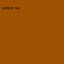 9f5302 - Windsor Tan color image preview