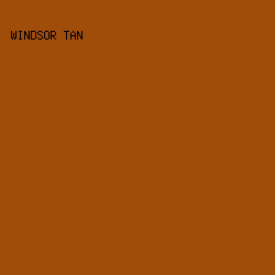 a04d09 - Windsor Tan color image preview
