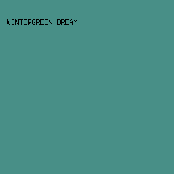 488F87 - Wintergreen Dream color image preview