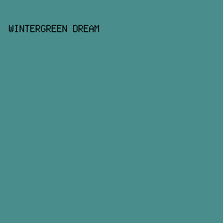498E8D - Wintergreen Dream color image preview