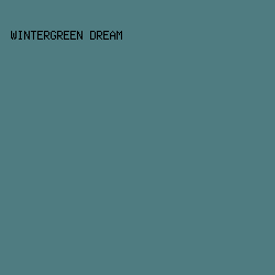 4F7C81 - Wintergreen Dream color image preview