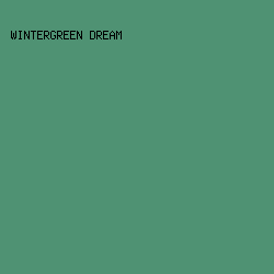 4F9273 - Wintergreen Dream color image preview