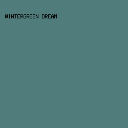 507c7b - Wintergreen Dream color image preview