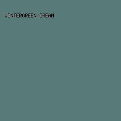 587A78 - Wintergreen Dream color image preview