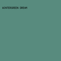 588b7e - Wintergreen Dream color image preview