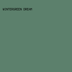 5C806C - Wintergreen Dream color image preview