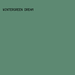 5D8972 - Wintergreen Dream color image preview