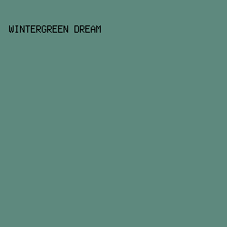 5E897E - Wintergreen Dream color image preview