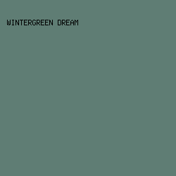 5F7D74 - Wintergreen Dream color image preview