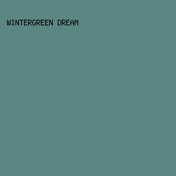 5b8681 - Wintergreen Dream color image preview