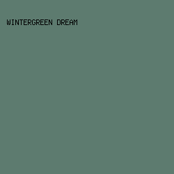 5d7b6f - Wintergreen Dream color image preview