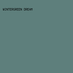 5e7f7c - Wintergreen Dream color image preview
