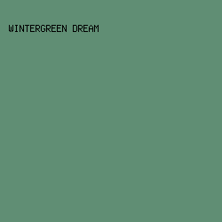 608e74 - Wintergreen Dream color image preview