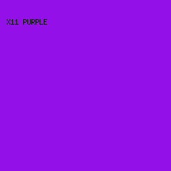 9311E8 - X11 Purple color image preview