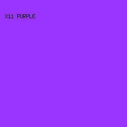 9933ff - X11 Purple color image preview