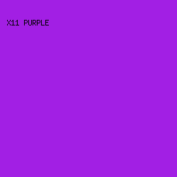 A21FE4 - X11 Purple color image preview